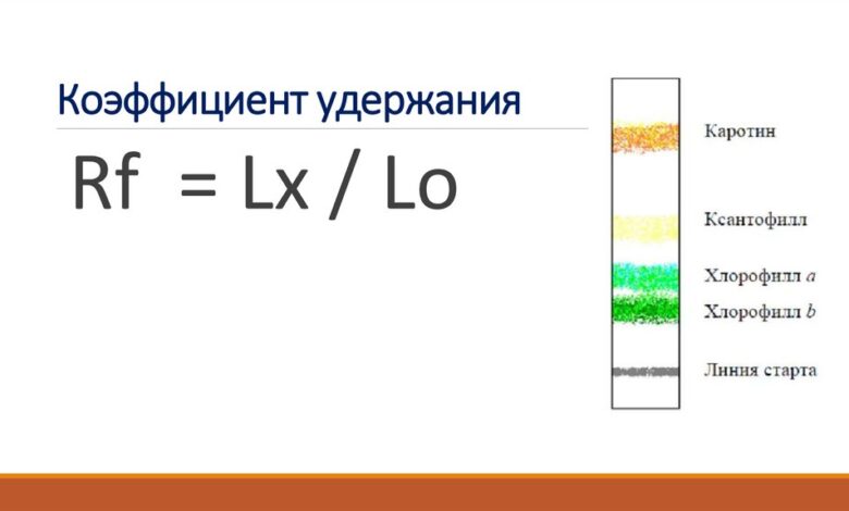 Photo of Исследование влагоемких почв