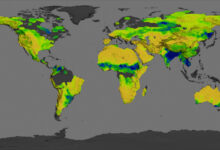 Photo of Исследование плодородных почв
