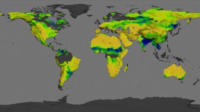 Photo of Исследование плодородных почв