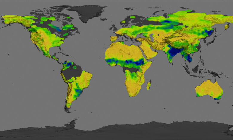 Photo of Исследование плодородных почв