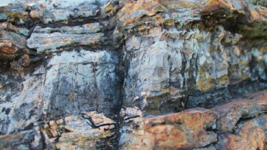 Photo of Геологический анализ горных пород