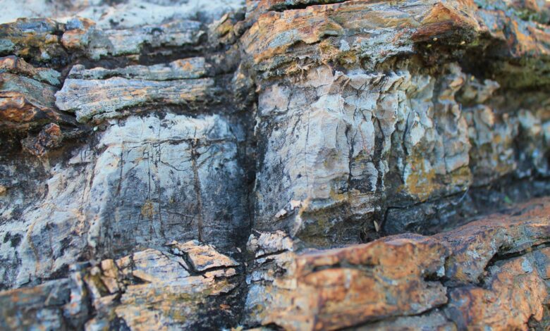 Photo of Геологический анализ горных пород